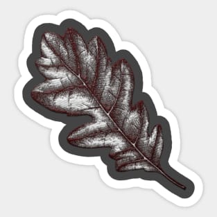 Cute Leaf Sticker